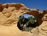 USA dutchman arch.jpg